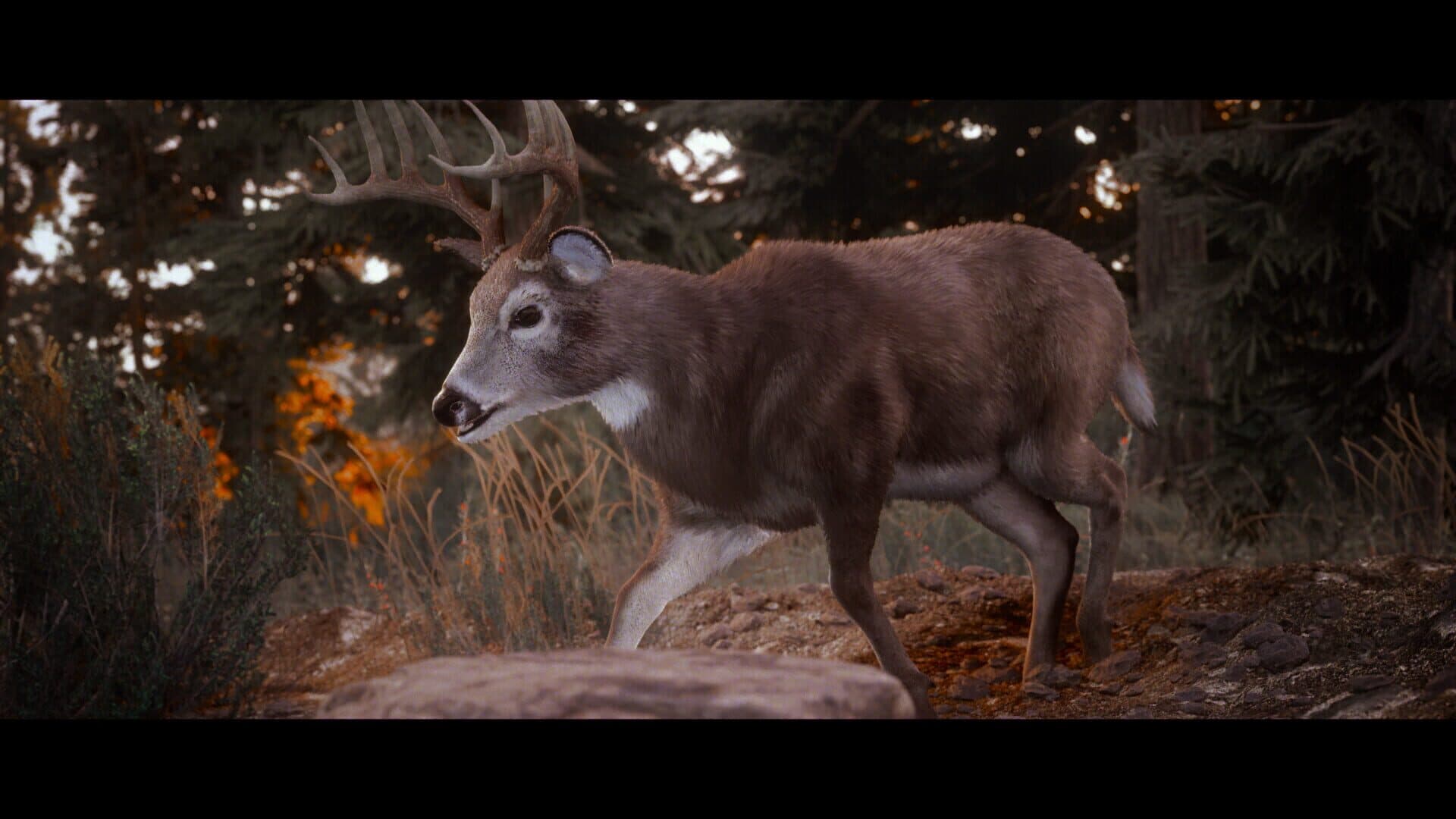 Screenshot for Hunting Simulator 3