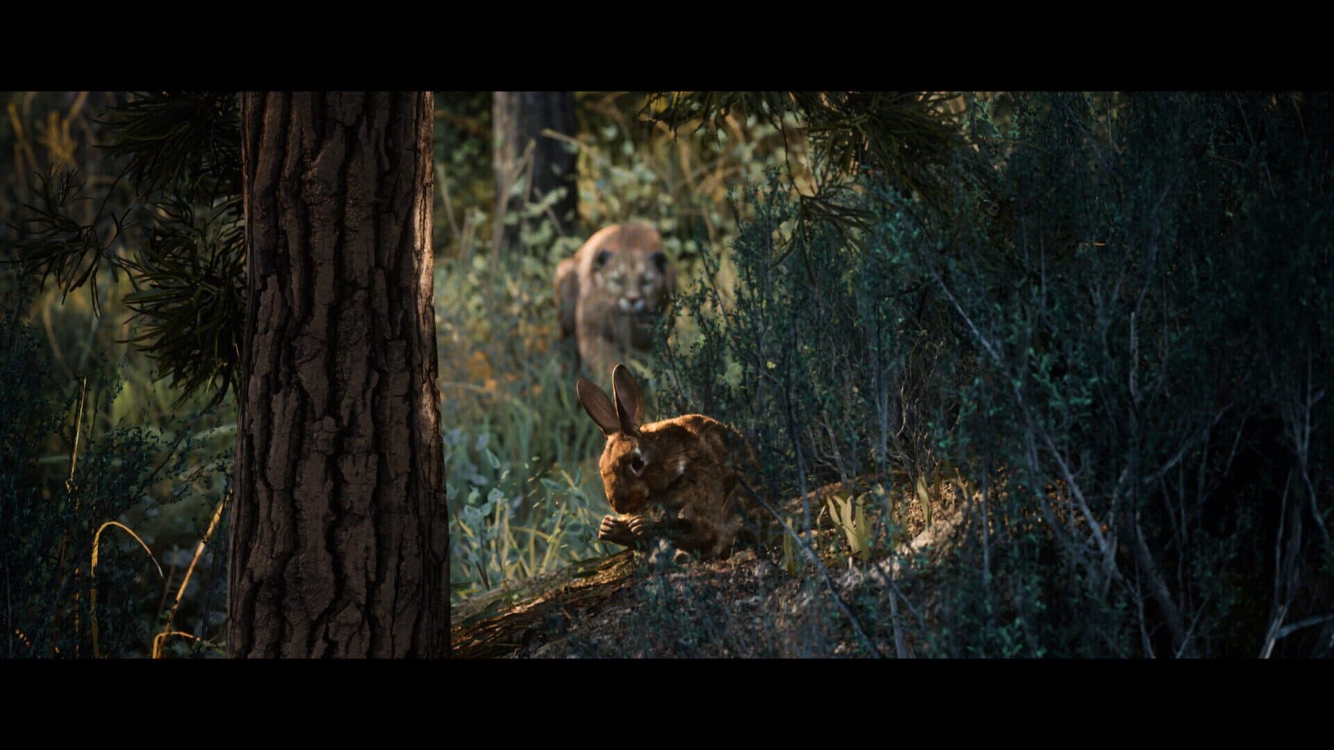 Screenshot for Hunting Simulator 3