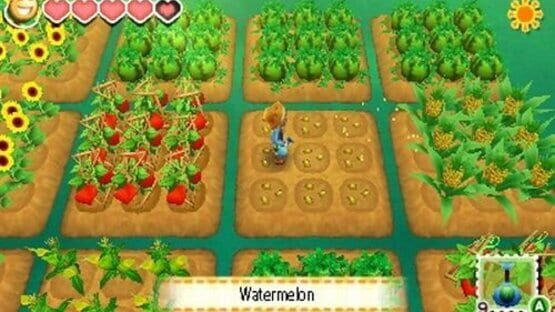 Screenshot for Story of Seasons