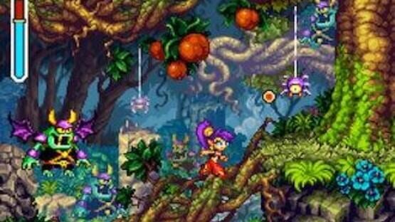 Screenshot for Shantae: Risky's Revenge