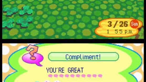 Screenshot for Animal Crossing: Wild World