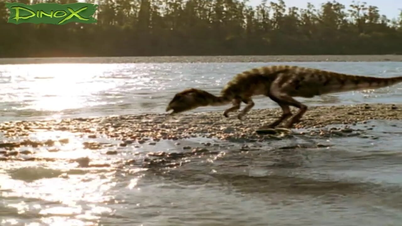 Screenshot for Dinox