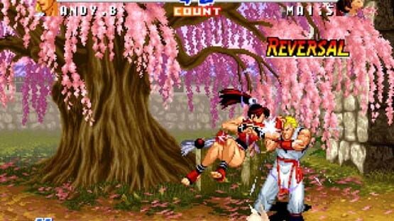 Screenshot for Real Bout Fatal Fury 2: The Newcomers