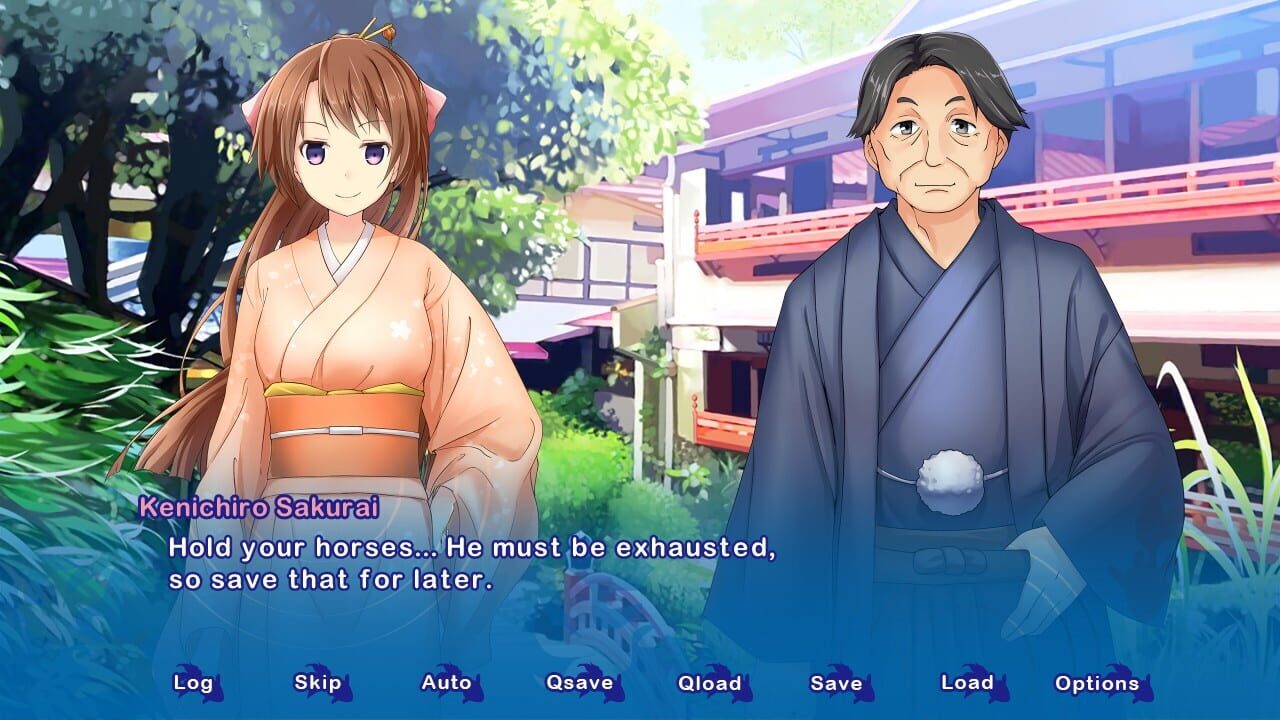 Screenshot for Kyoto Colorful Days