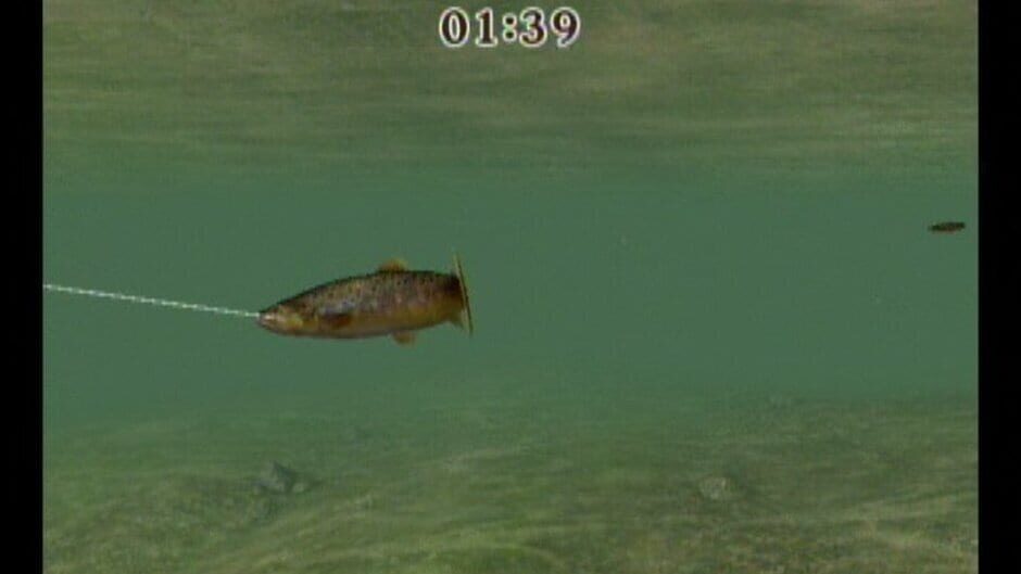 Screenshot for Reel Fishing Challenge