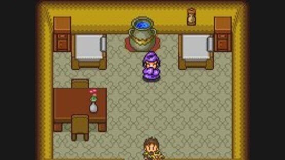 Screenshot for Neutopia II