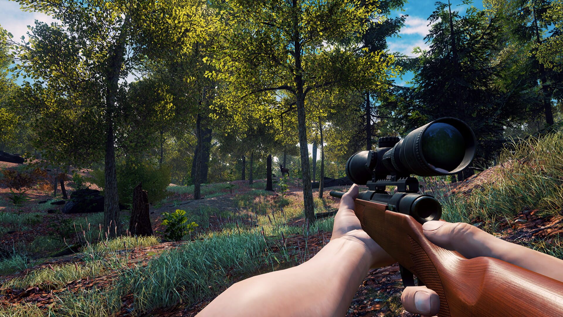 Screenshot for Vestige of the Past