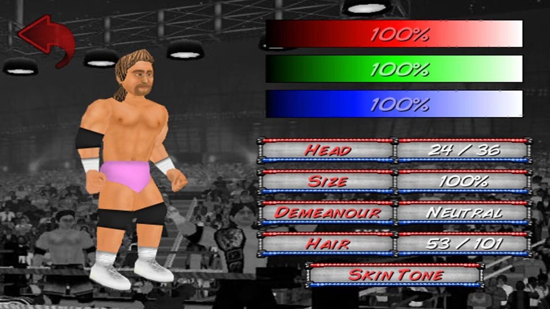 Screenshot for Wrestling Revolution 2D