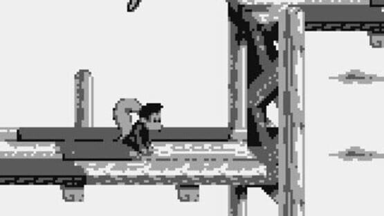 Screenshot for Donkey Kong Land III