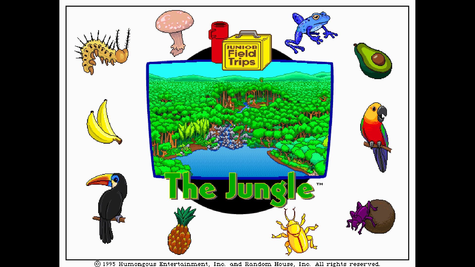 Screenshot for Let's Explore the Jungle
