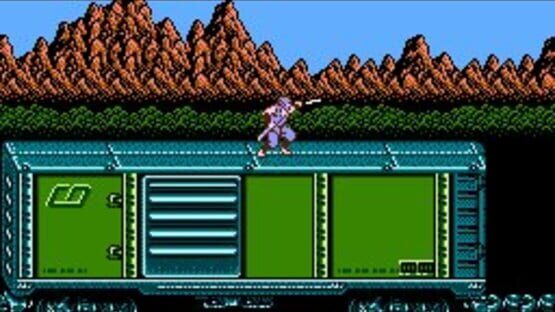 Screenshot for Ninja Gaiden II: The Dark Sword of Chaos