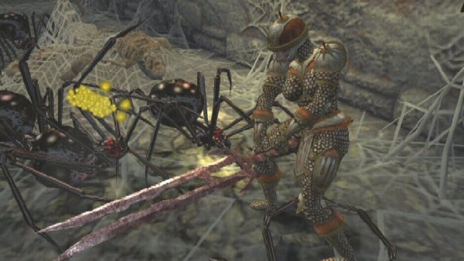 Screenshot for Champions of Norrath: Realms of EverQuest