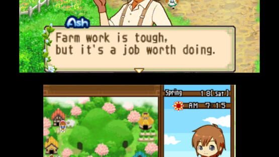 Screenshot for Harvest Moon: The Tale of Two Towns