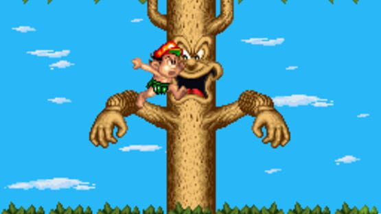 Screenshot for Super Adventure Island II