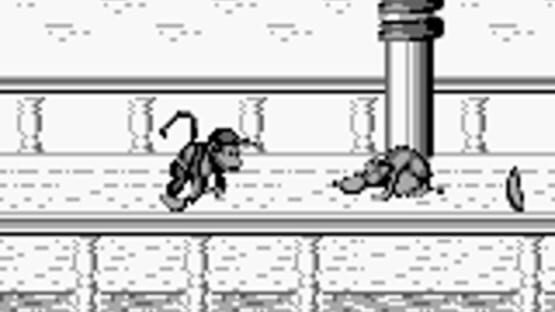 Screenshot for Donkey Kong Land 2