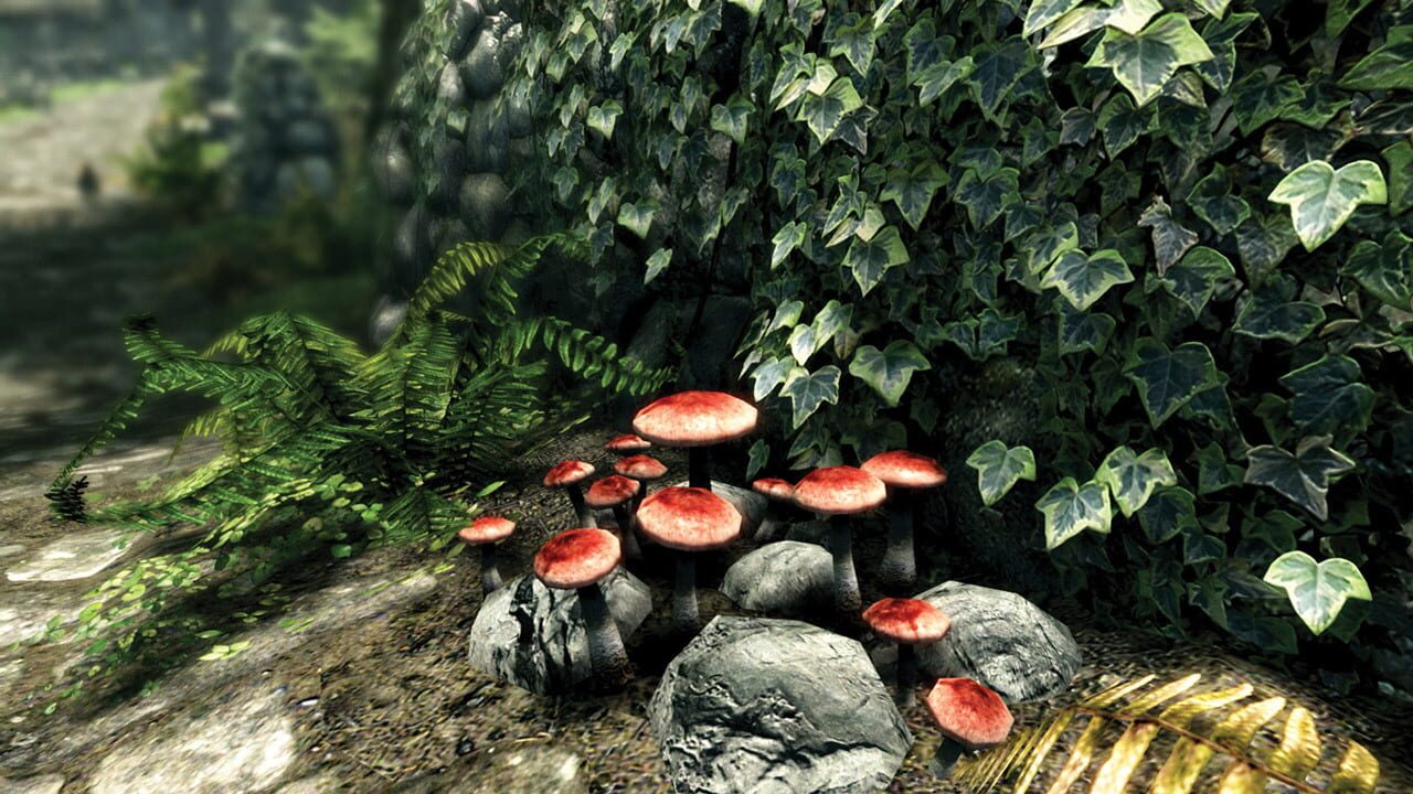 Screenshot for The Elder Scrolls V: Skyrim - Special Edition