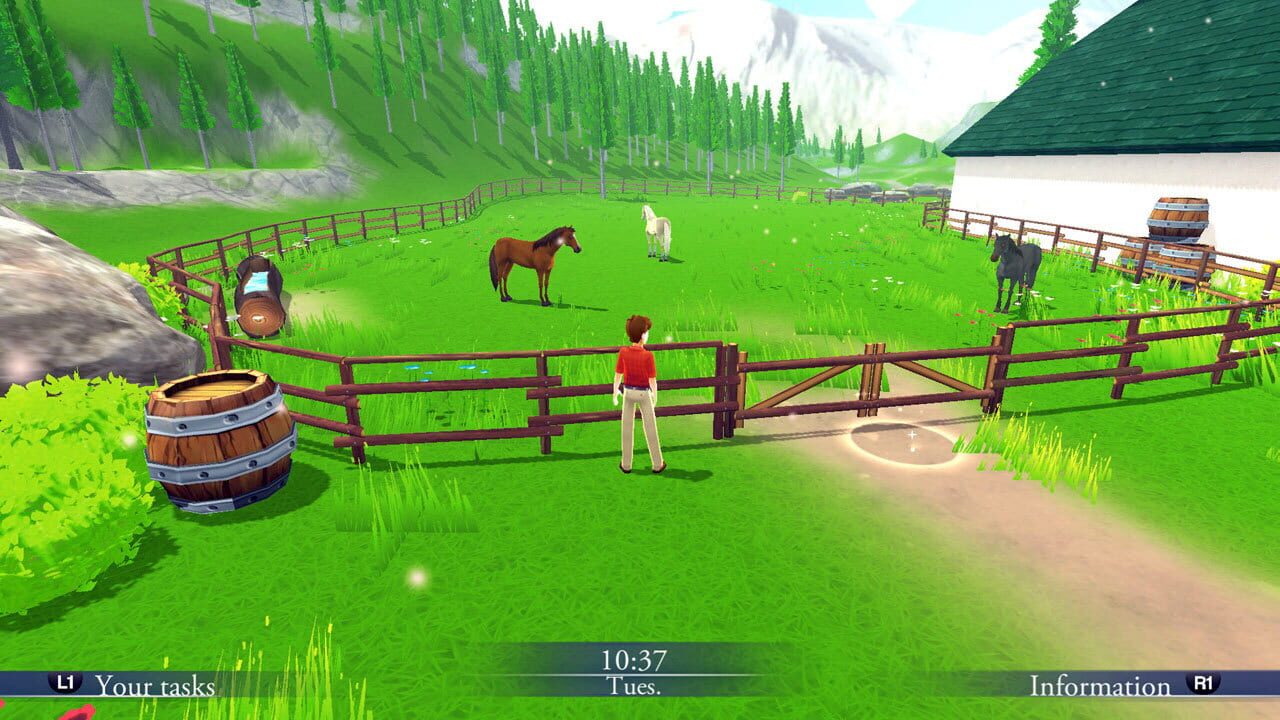 Screenshot for My Riding Stables: Life with Horses 2