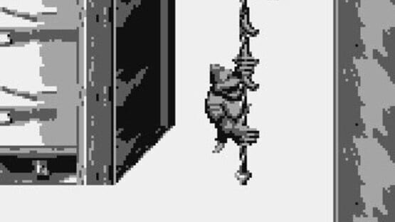 Screenshot for Donkey Kong Land III