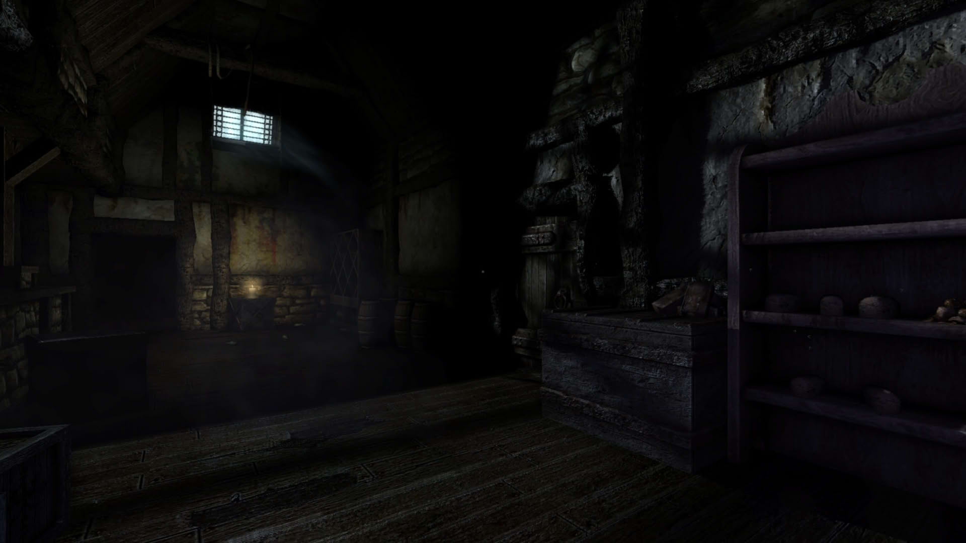 Screenshot for Amnesia: The Dark Descent
