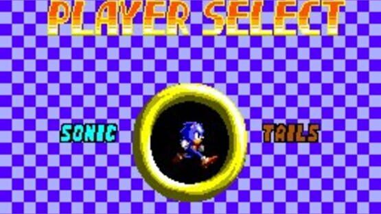 Screenshot for Sonic the Hedgehog Chaos