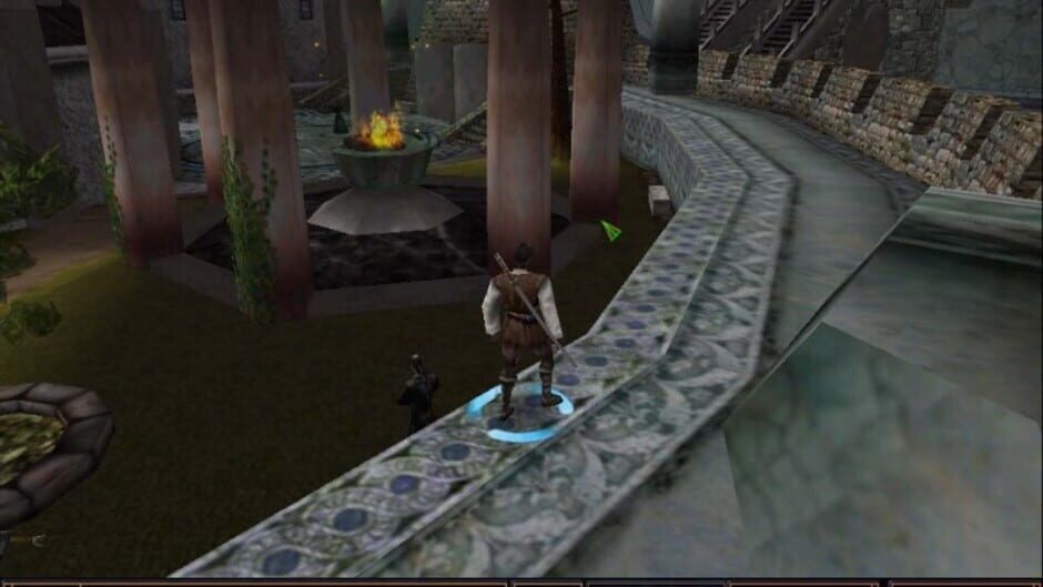Screenshot for Summoner