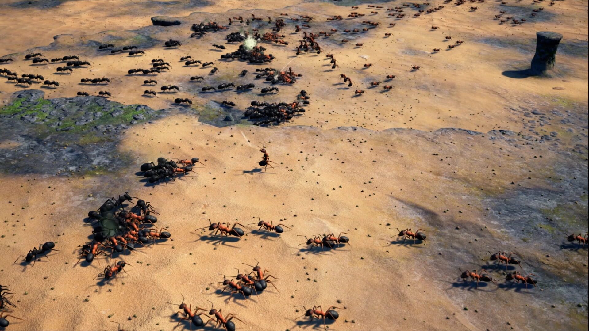 Screenshot for Empires of the Undergrowth