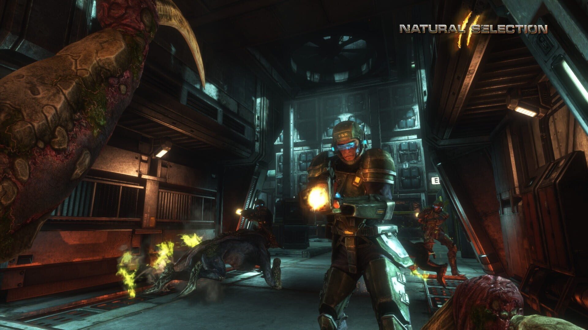 Screenshot for Natural Selection 2