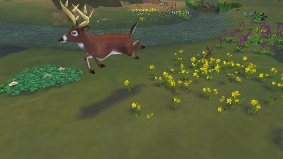 Screenshot for SimAnimals