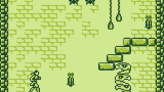 Screenshot for Castlevania Legends