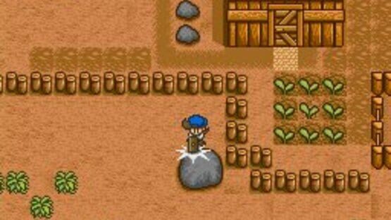 Screenshot for Harvest Moon