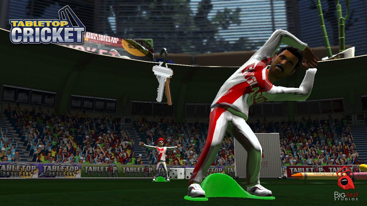Screenshot for TableTop Cricket