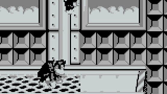 Screenshot for Donkey Kong Land