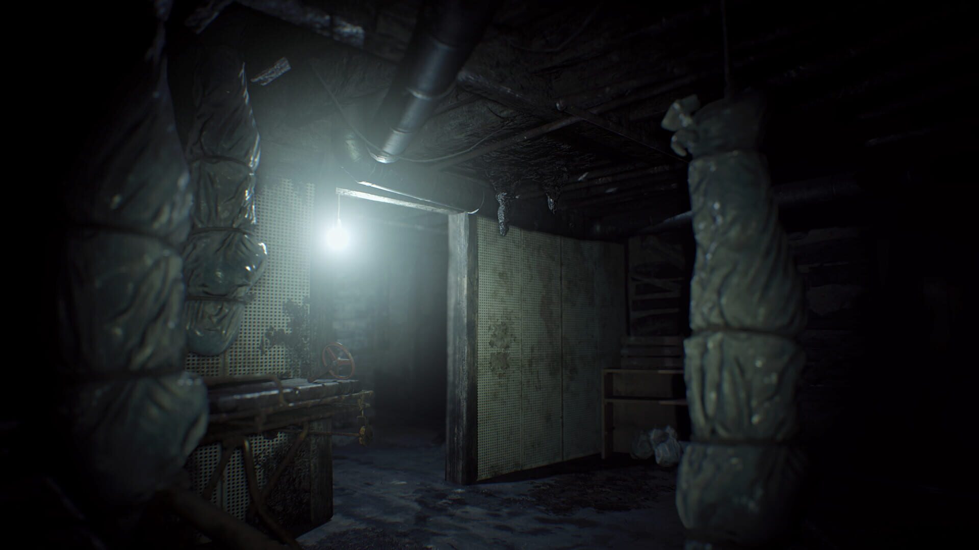 Screenshot for Resident Evil 7 Teaser: Beginning Hour
