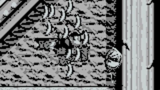 Screenshot for Donkey Kong Land