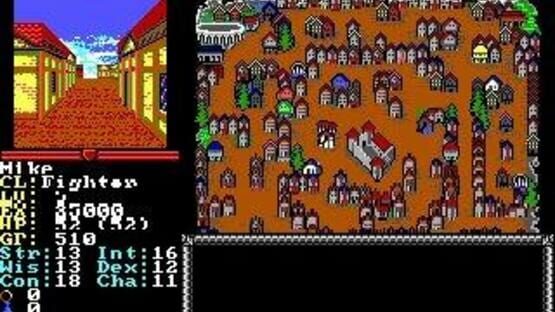 Screenshot for Advanced Dungeons & Dragons: Hillsfar