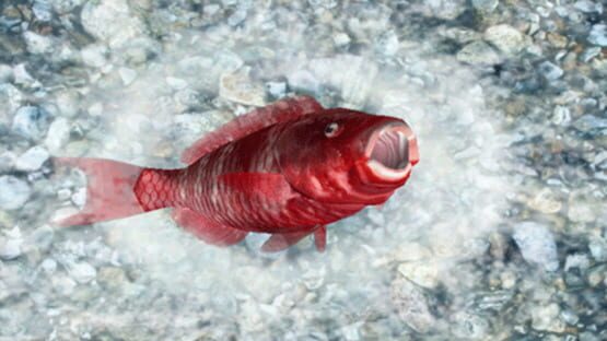 Screenshot for Reel Fishing: Ocean Challenge