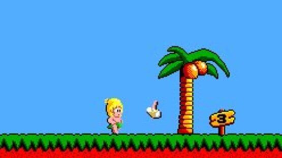 Screenshot for Wonder Boy