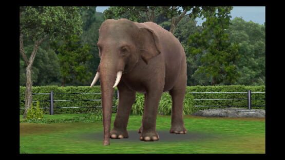 Screenshot for Zoo Resort 3D