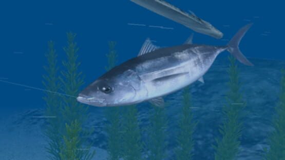 Screenshot for Reel Fishing: Ocean Challenge