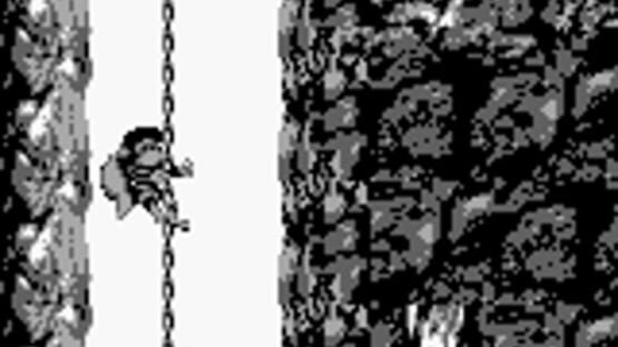 Screenshot for Donkey Kong Land 2