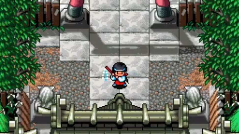 Screenshot for Pocky & Rocky