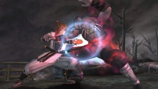 Screenshot for Dead or Alive: Dimensions