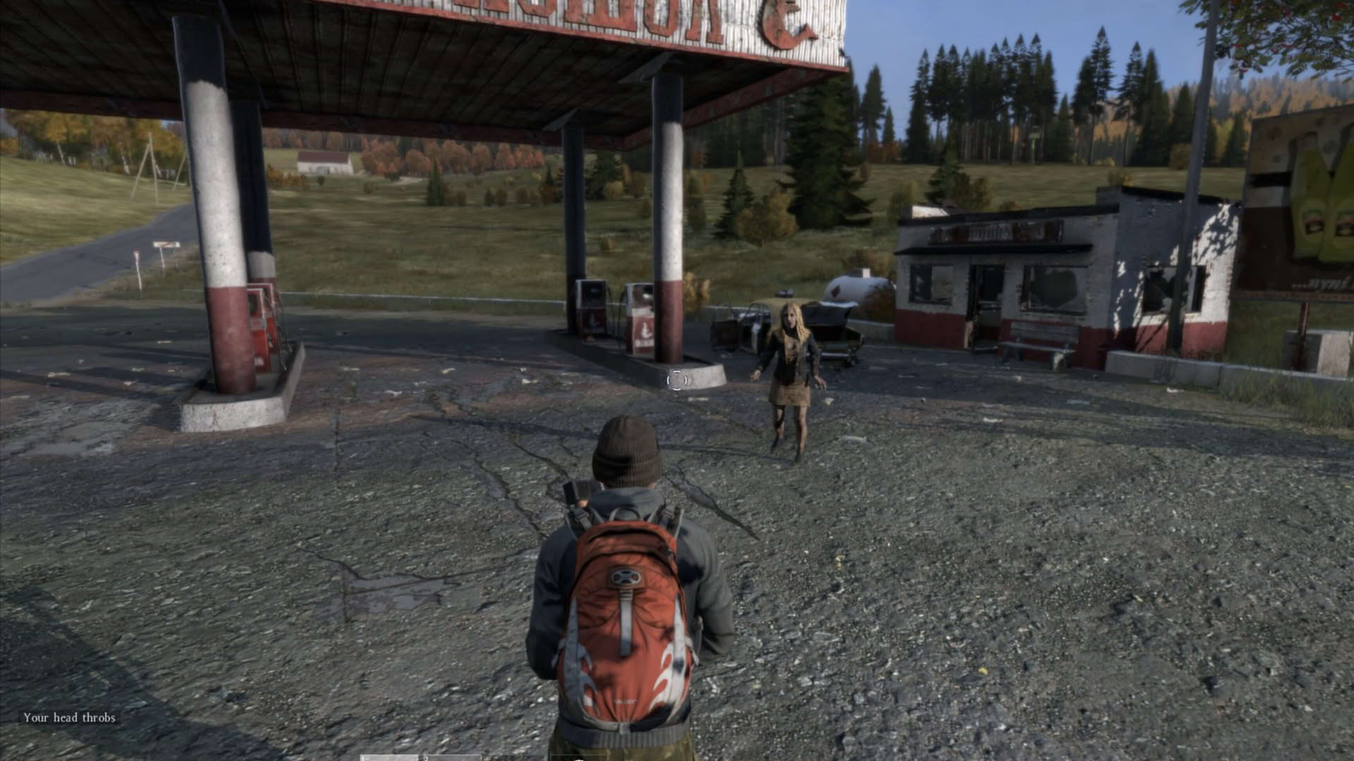 Screenshot for DayZ