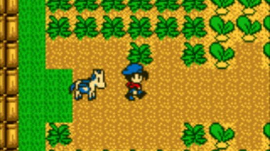 Screenshot for Harvest Moon GB