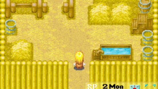 Screenshot for Harvest Moon: More Friends of Mineral Town