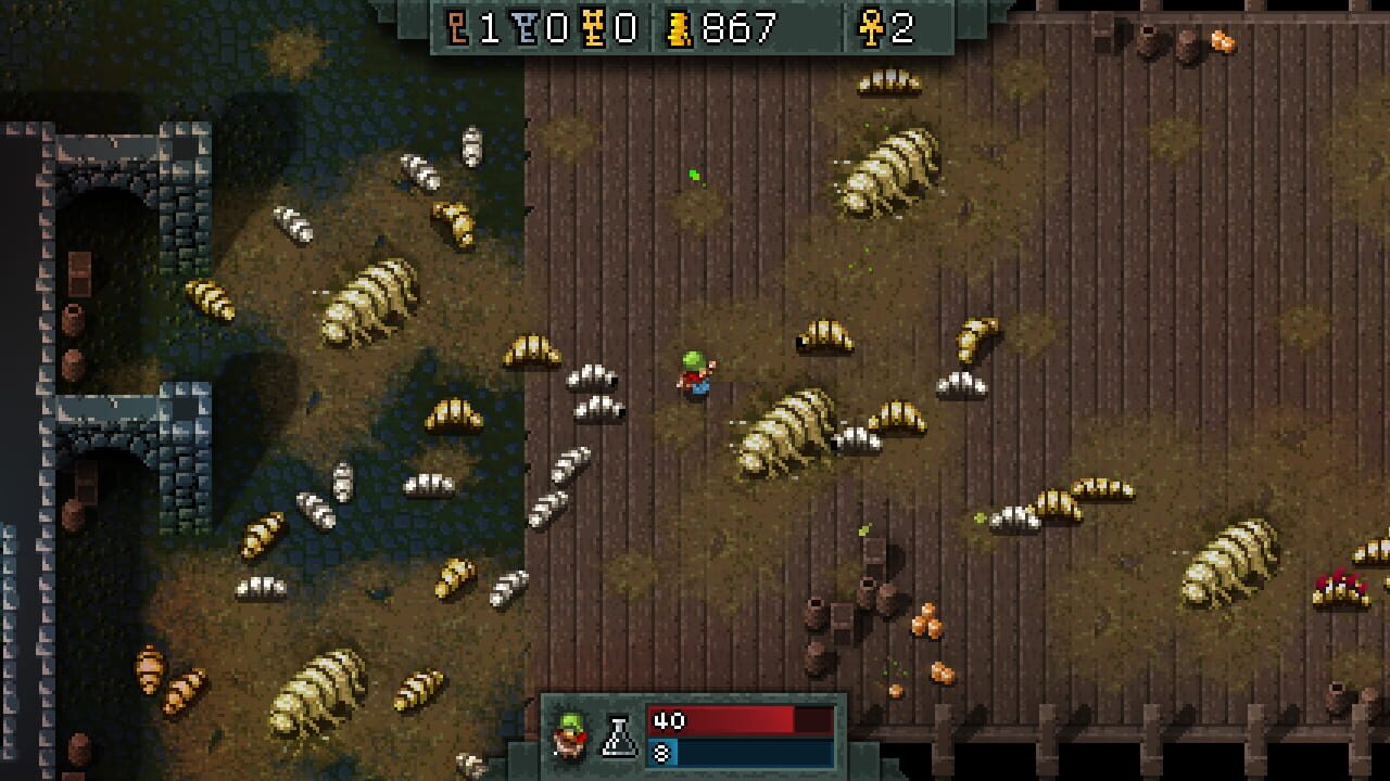 Screenshot for Hammerwatch