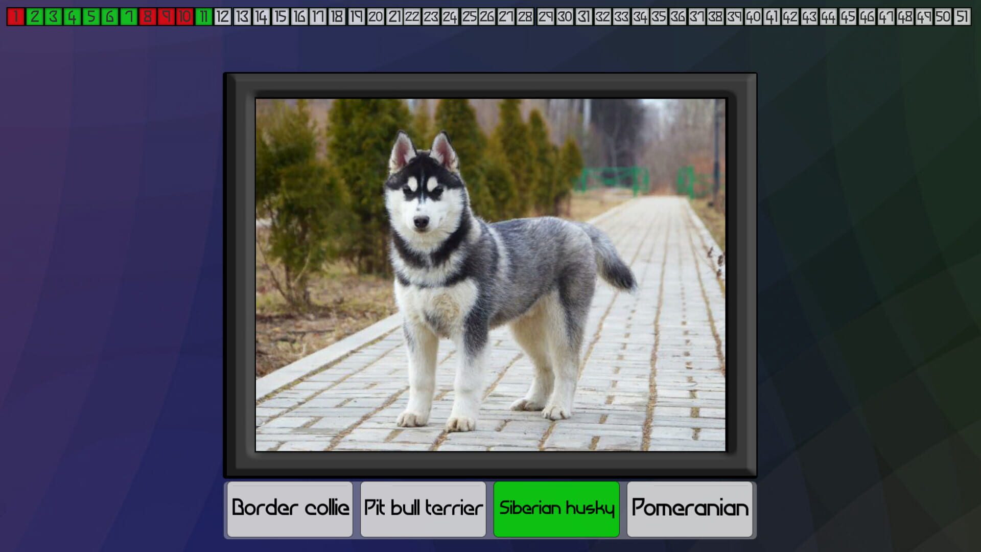 Screenshot for Test your knowledge: Dogs