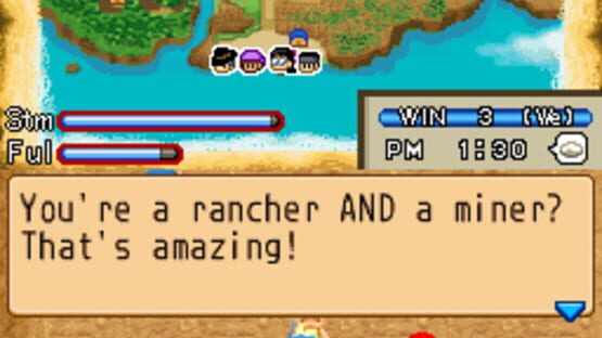 Screenshot for Harvest Moon DS: Island of Happiness