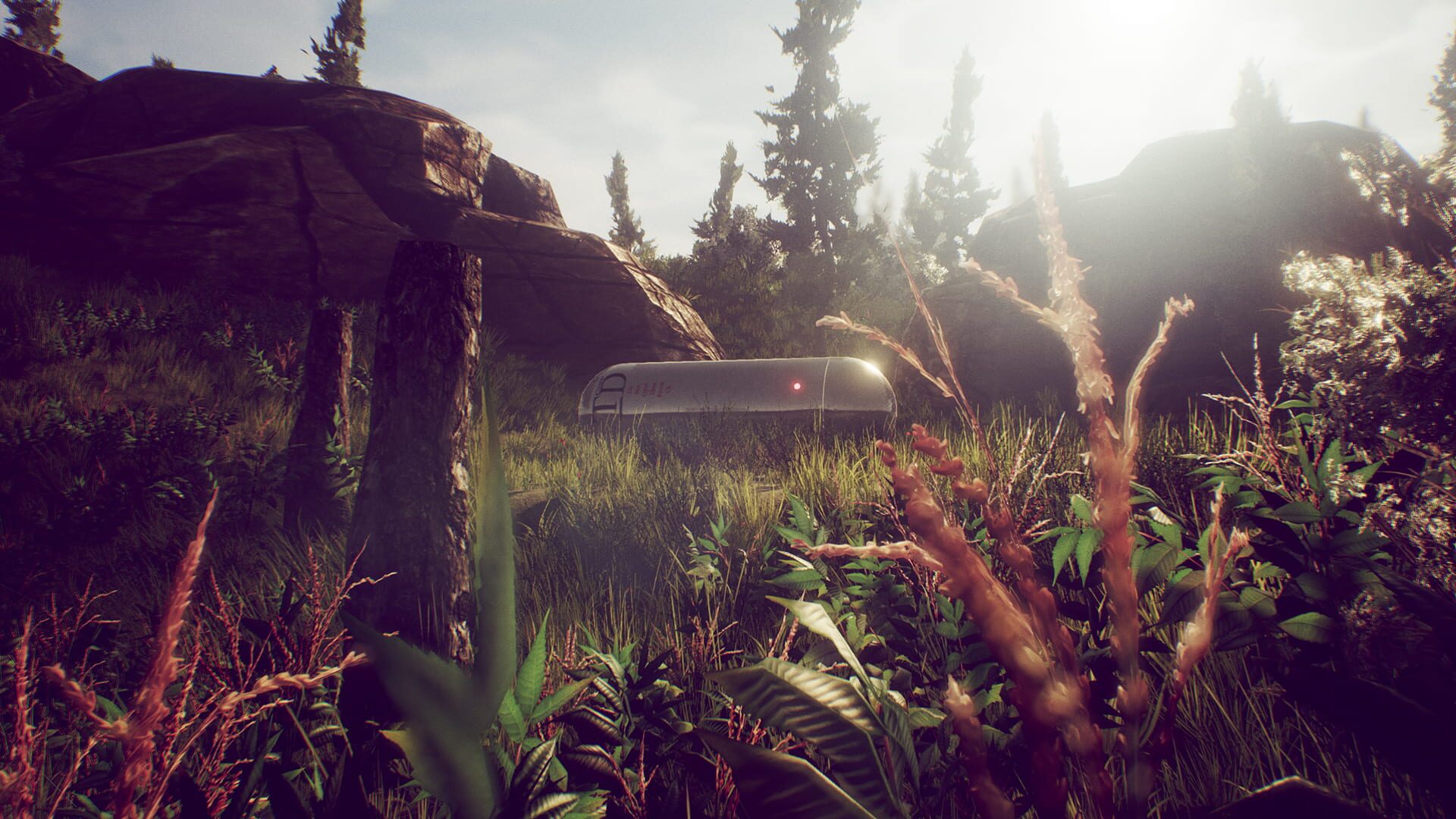 Screenshot for The Challenge