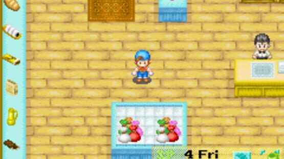 Screenshot for Harvest Moon: Friends of Mineral Town